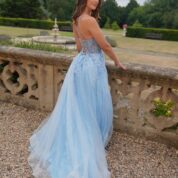 G2433 BLUE (20)