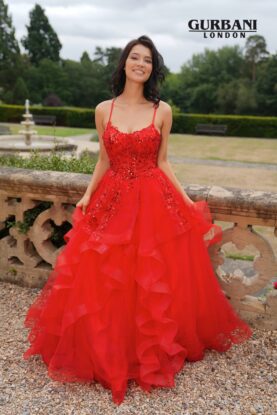 Red Floral Embellished Layered Tulle Ball Gown Prom Dress – G2623