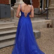 G2827 ROYAL (19)